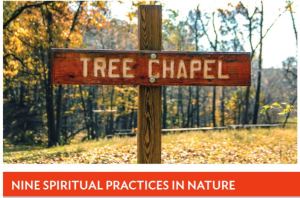 Nine Spiritual Practices in Nature